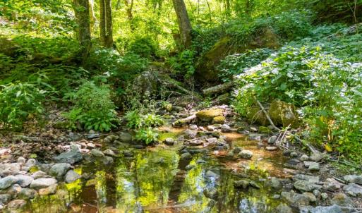 Photo #6 of 0 Meadows Lane, Montebello, VA 204.0 acres