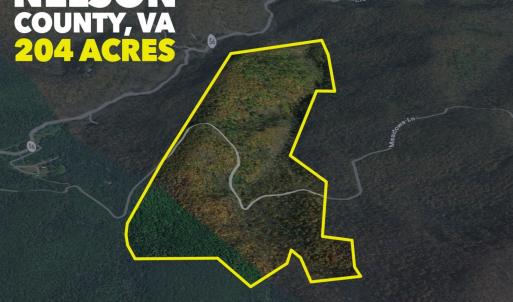 Photo #19 of 0 Meadows Lane, Montebello, VA 204.0 acres