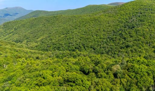 Photo #13 of 0 Meadows Lane, Montebello, VA 204.0 acres