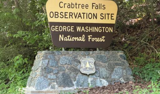 Photo #16 of 0 Meadows Lane, Montebello, VA 204.0 acres