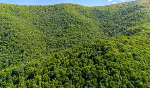 Photo #11 of 0 Meadows Lane, Montebello, VA 204.0 acres