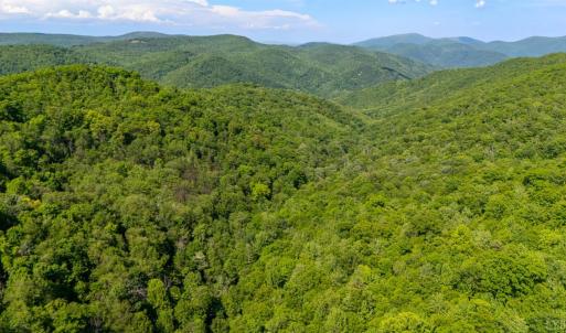 Photo #15 of 0 Meadows Lane, Montebello, VA 204.0 acres