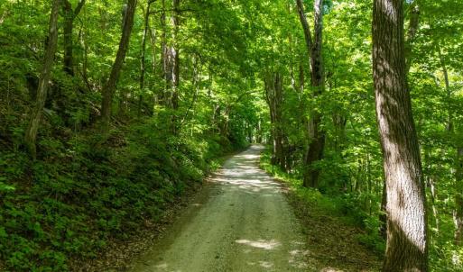 Photo #5 of 0 Meadows Lane, Montebello, VA 204.0 acres