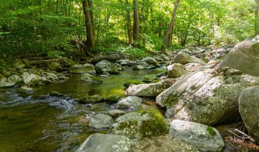 Photo #17 of 0 Meadows Lane, Montebello, VA 204.0 acres