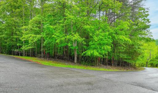 Photo #11 of Old Barn Road, Moneta, VA 0.8 acres