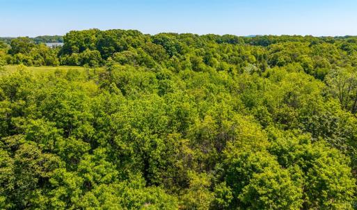 Photo #30 of 4159 Amherst Highway, Madison Heights, VA 35.2 acres