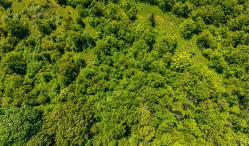 Photo #32 of 4159 Amherst Highway, Madison Heights, VA 35.2 acres