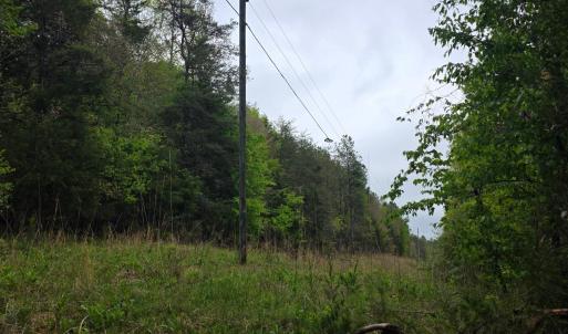 Photo #8 of Dreaming Creek Road, Concord, VA 128.6 acres