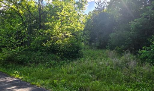 Photo #6 of Dreaming Creek Road, Concord, VA 128.6 acres
