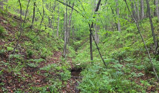 Photo #10 of Dreaming Creek Road, Concord, VA 128.6 acres