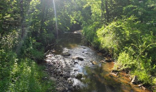 Photo #1 of Dreaming Creek Road, Concord, VA 128.6 acres