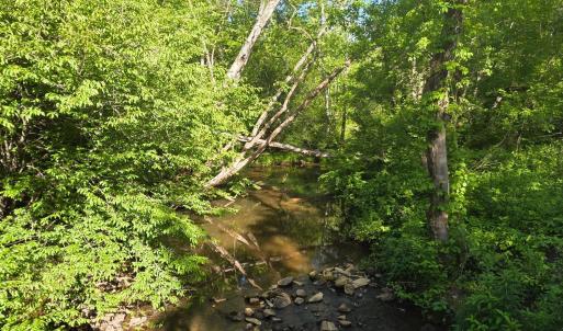 Photo #2 of Dreaming Creek Road, Concord, VA 128.6 acres