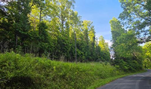 Photo #3 of Dreaming Creek Road, Concord, VA 128.6 acres