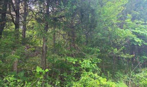 Photo #2 of Dreaming Creek Road, Concord, VA 11.0 acres