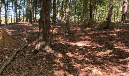 Photo #4 of Lot 9R Eagle Pointe, Norwood, NC 1.1 acres