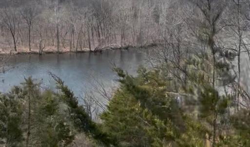 Photo #34 of 426 Burgess Road, Madison Heights, VA 43.7 acres