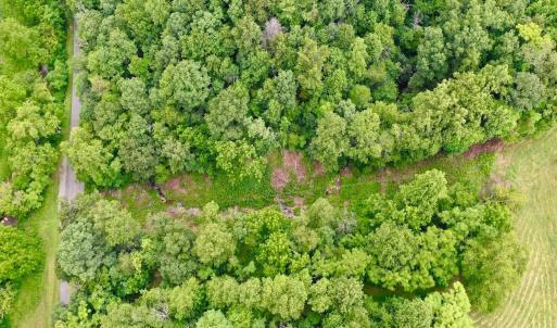 Photo #59 of Stewartsville Rd, Vinton, VA 17.5 acres