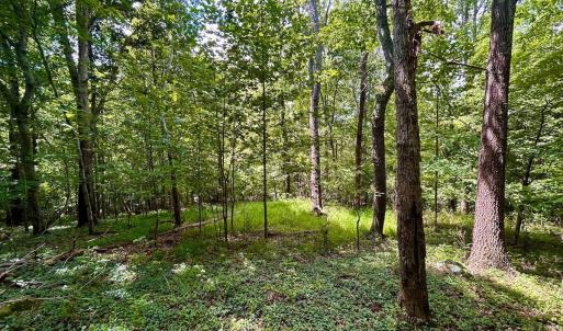 Photo #40 of Stewartsville Rd, Vinton, VA 17.5 acres