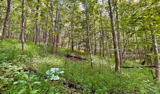 Photo #9 of Stewartsville Rd, Vinton, VA 17.5 acres