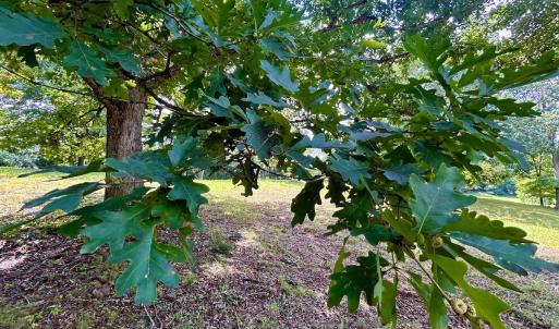 Photo #23 of Stewartsville Rd, Vinton, VA 17.5 acres