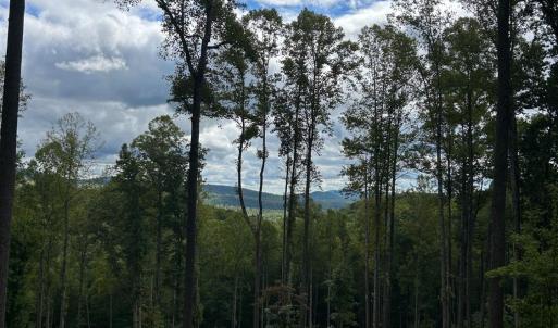Photo #7 of Skyline Above Reservoir, Amherst, VA 145.4 acres