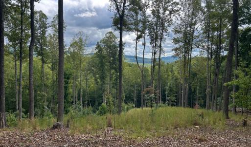 Photo #6 of Skyline Above Reservoir, Amherst, VA 145.4 acres