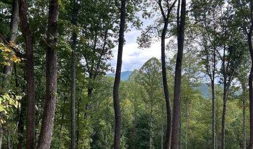 Photo #8 of Skyline Above Reservoir, Amherst, VA 145.4 acres