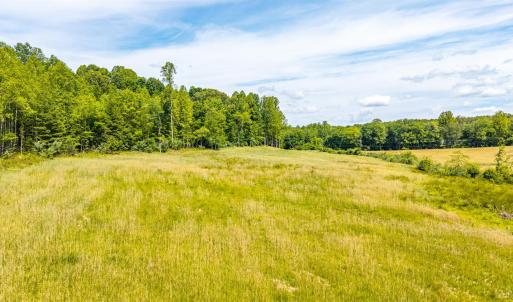 Photo #16 of Waughs Ferry Crossing, Monroe, VA 29.3 acres