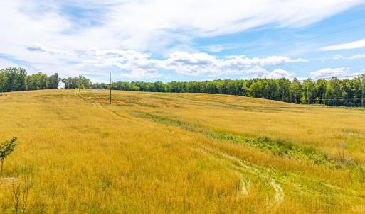 Photo #4 of Waughs Ferry Crossing, Monroe, VA 29.3 acres