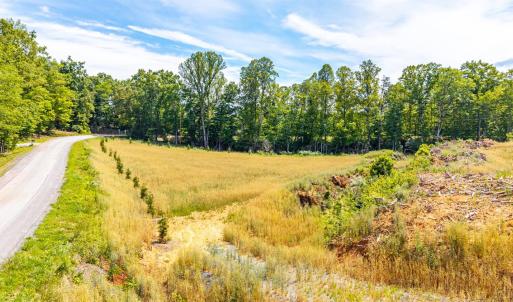 Photo #23 of Waughs Ferry Crossing, Monroe, VA 29.3 acres