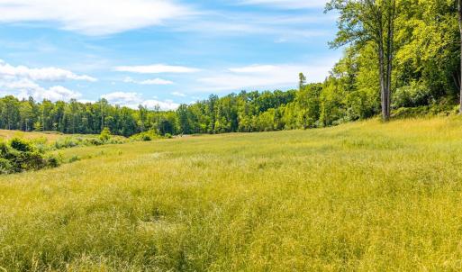 Photo #20 of Waughs Ferry Crossing, Monroe, VA 29.3 acres