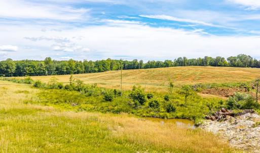 Photo #14 of Waughs Ferry Crossing, Monroe, VA 29.3 acres