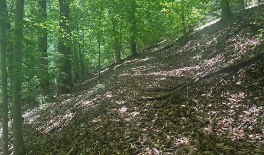 Photo #28 of Jones Overlook, Howardsville, VA 8.2 acres