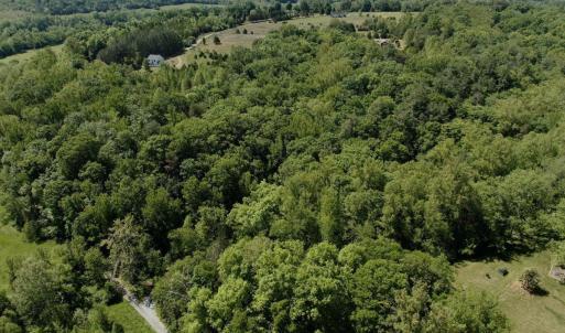 Photo #8 of Jones Overlook, Howardsville, VA 8.2 acres
