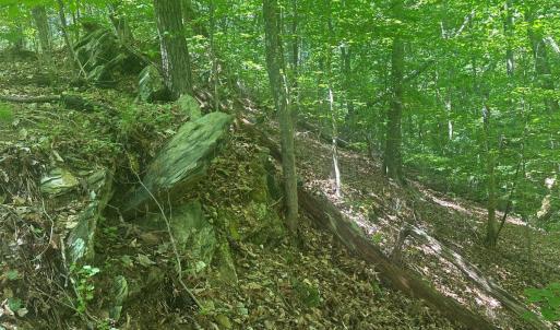 Photo #20 of Jones Overlook, Howardsville, VA 8.2 acres
