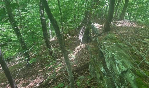 Photo #7 of Jones Overlook, Howardsville, VA 8.2 acres