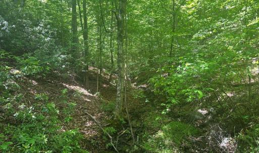Photo #25 of Jones Overlook, Howardsville, VA 8.2 acres