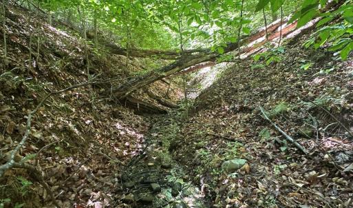Photo #21 of Jones Overlook, Howardsville, VA 8.2 acres