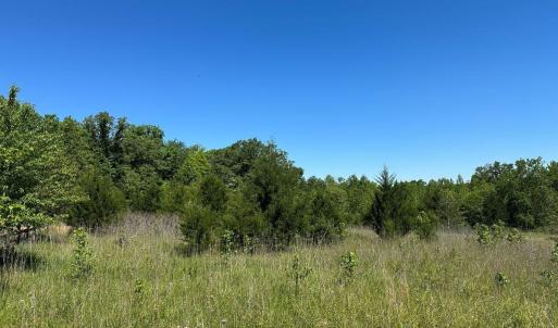 Photo #4 of Jones Overlook, Howardsville, VA 8.2 acres