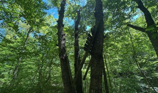 Photo #23 of Jones Overlook, Howardsville, VA 8.2 acres