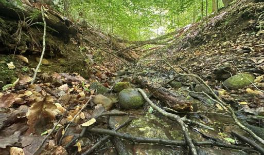 Photo #6 of Jones Overlook, Howardsville, VA 8.2 acres