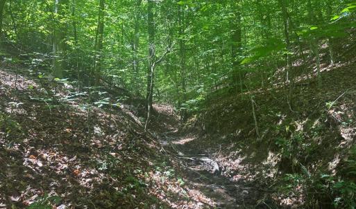 Photo #18 of Jones Overlook, Howardsville, VA 8.2 acres