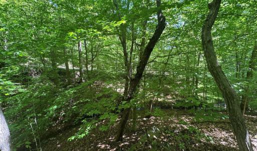 Photo #14 of Jones Overlook, Howardsville, VA 8.2 acres