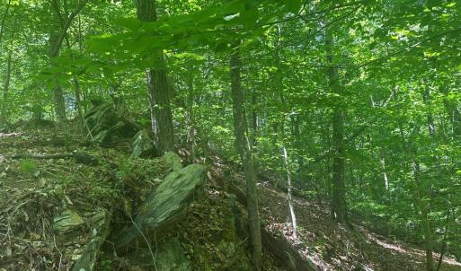 Photo #30 of Jones Overlook, Howardsville, VA 8.2 acres