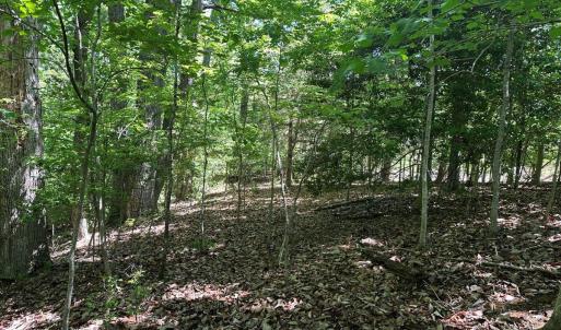 Photo #22 of Jones Overlook, Howardsville, VA 8.2 acres
