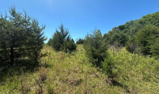 Photo #16 of Jones Overlook, Howardsville, VA 8.2 acres