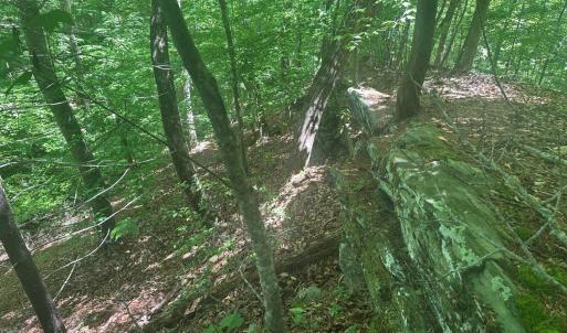 Photo #7 of Jones Overlook, Howardsville, VA 8.2 acres