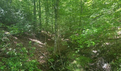 Photo #25 of Jones Overlook, Howardsville, VA 8.2 acres