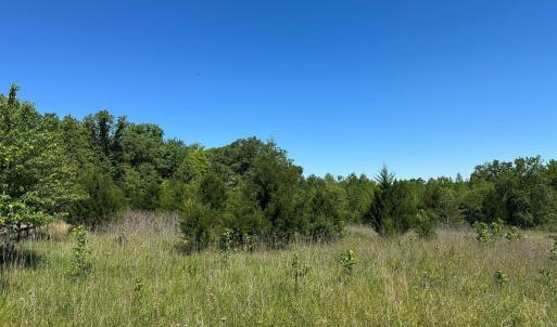 Photo #4 of Jones Overlook, Howardsville, VA 8.2 acres