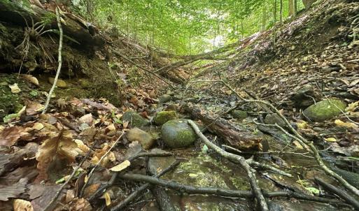 Photo #6 of Jones Overlook, Howardsville, VA 8.2 acres